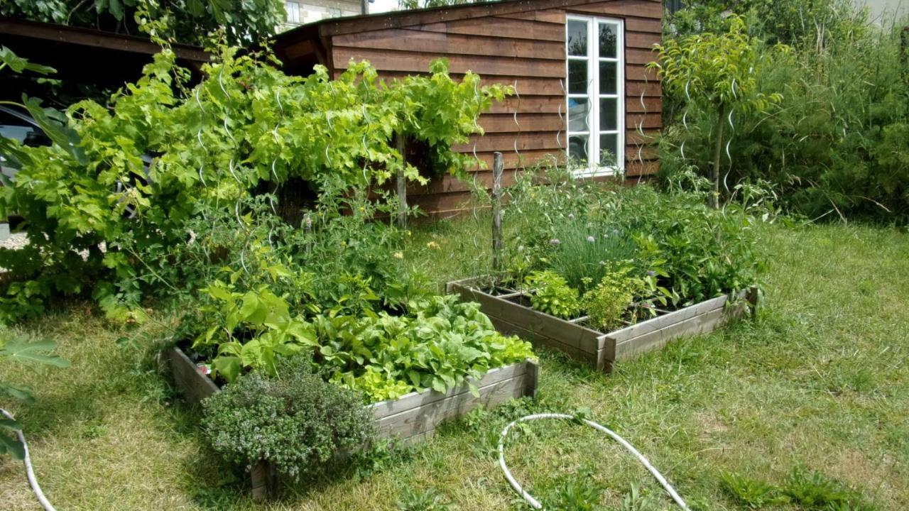 Maison Linda Ch. D'Hote Grateloup Luaran gambar